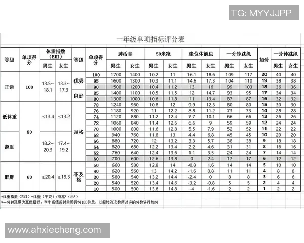 以體能測試為核心探討運動員體能評估方法與訓練成效提升策略